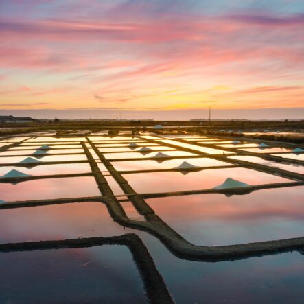 Salt marshes of Guérande